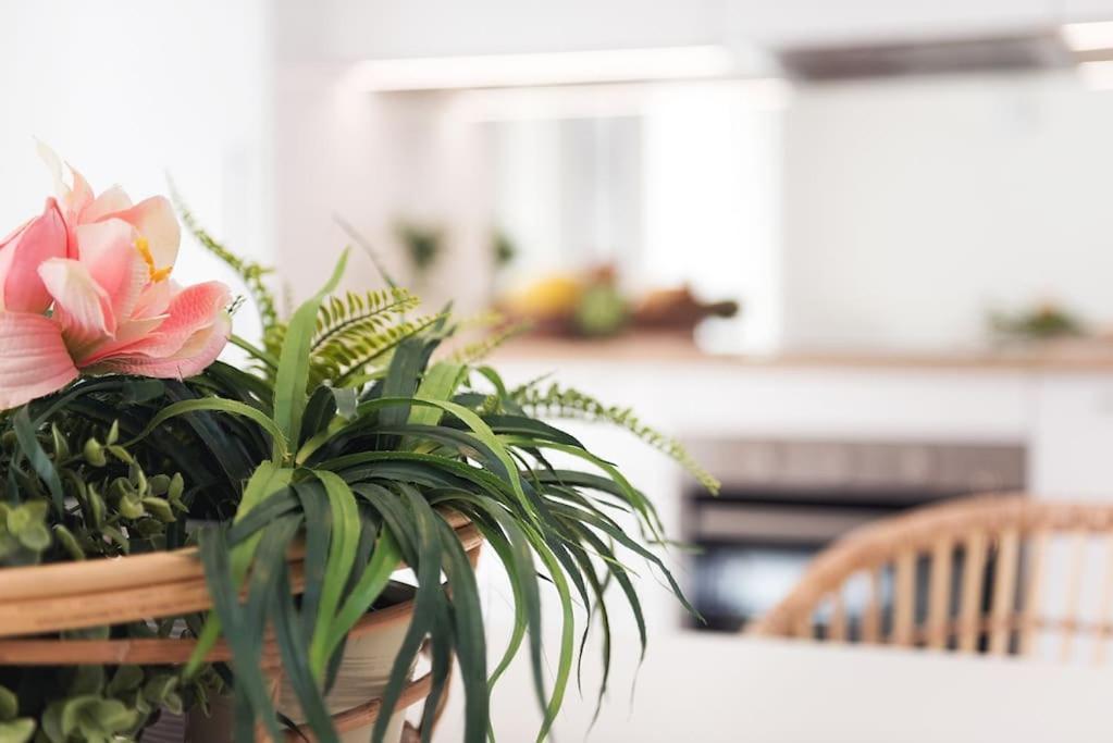 Apartament Vayadu Etoile House Ospedaletti Zewnętrze zdjęcie